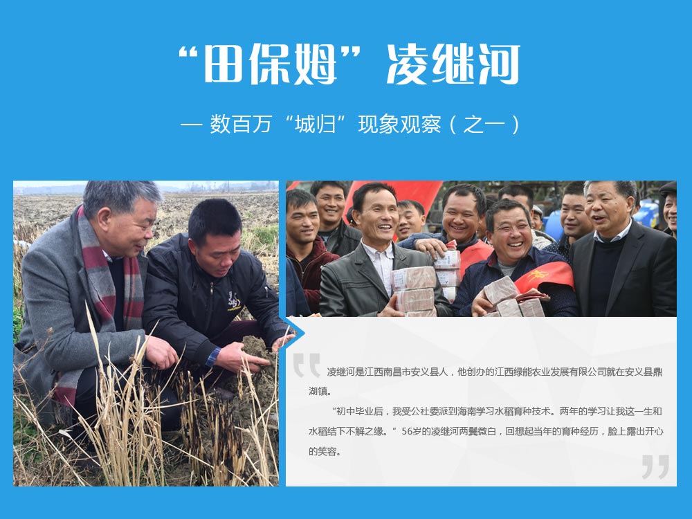 田保姆凌继河
