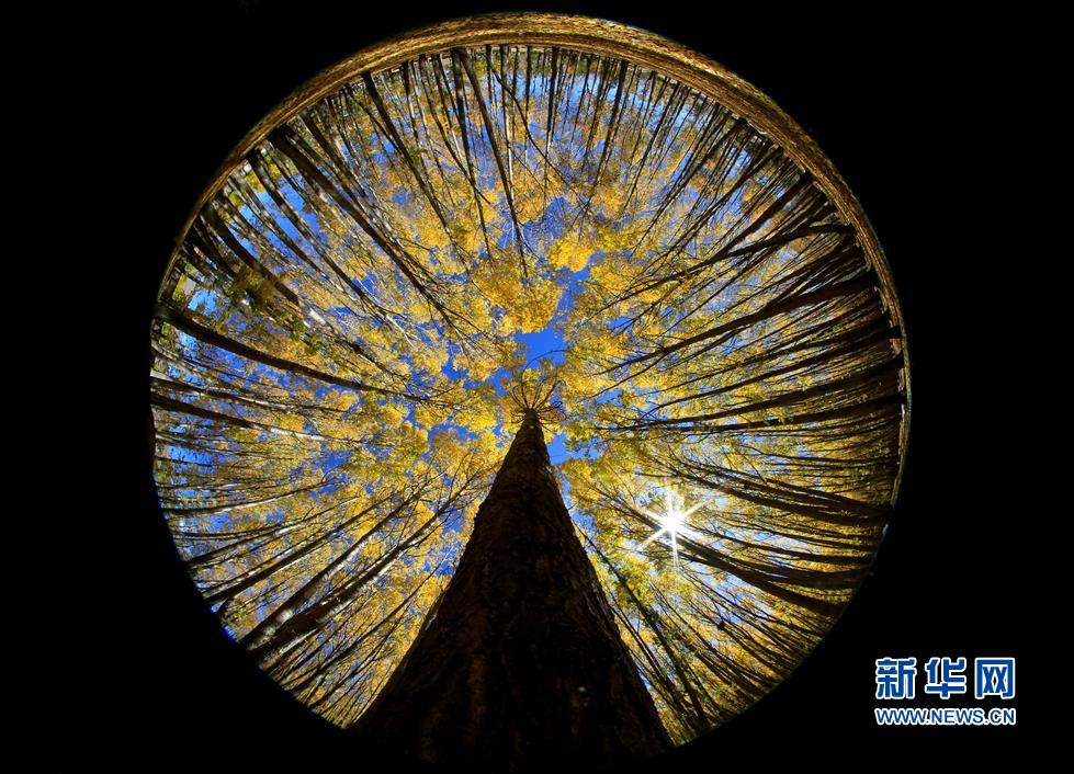 高原秋韵 西藏拉萨市林周县景色迷人(图)