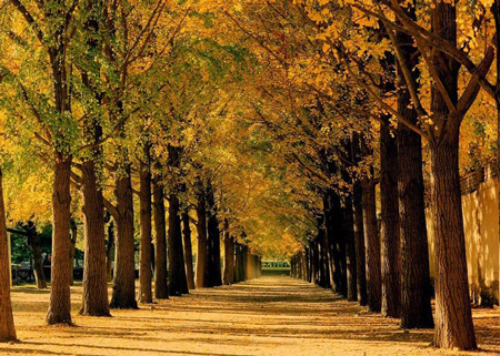 青山红房绿水猜成语_青山绿水图片(3)