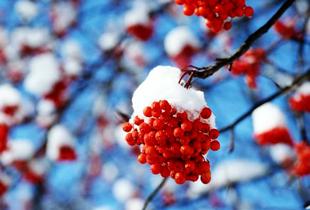 大雪节气 保健 关键