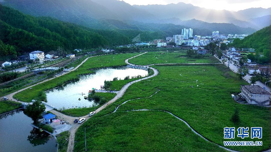 陕西留坝:格桑花盛开的秦巴小城