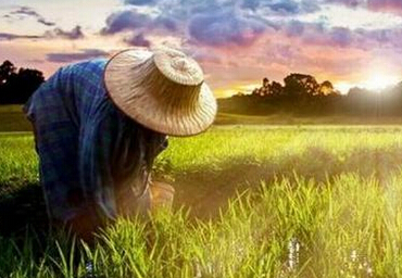 农村改革顶层设计透露五大看点