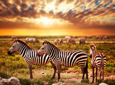 非洲最壮丽自然景观 旅游 美景 非洲 壮丽自然
