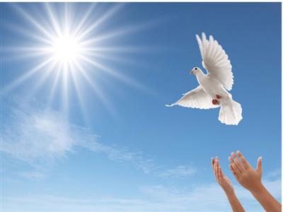 中国最具影响力时政新闻评论专业网