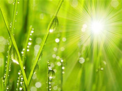 中国最具影响力时政新闻评论专业网