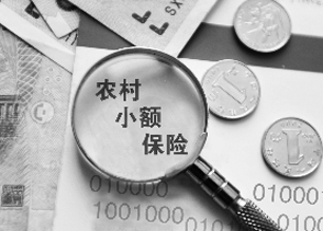 关于完善农村小额人身保险的的学年毕业论文范文