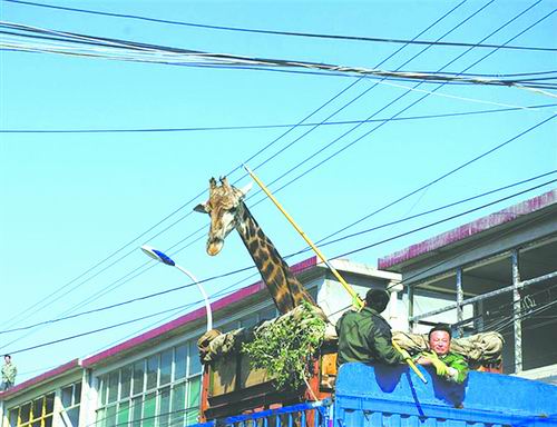济南人口迁徙_济南常住人口登记卡