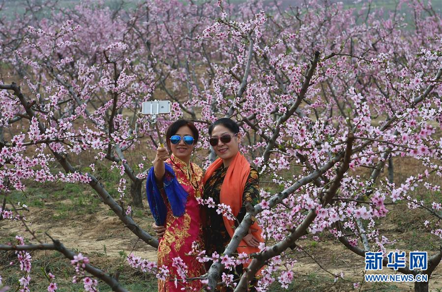 【大美中国】花海春光醉游人 - 中国网传媒经济